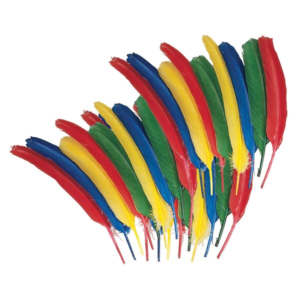 Quill Feathers, Assorted Colors, 12in, PK72